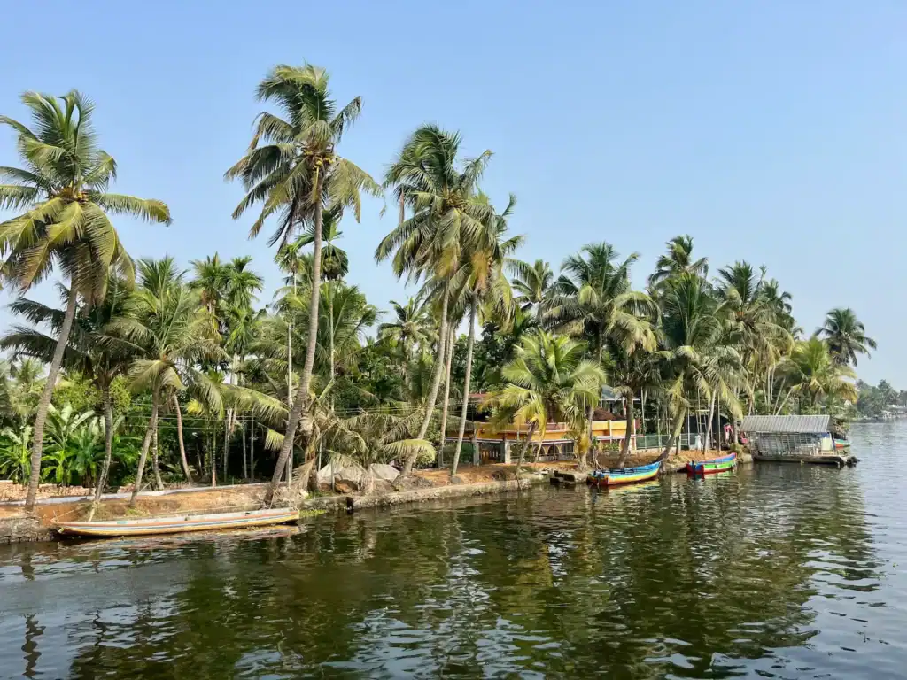 Peaceful view of the Alleppey backwaters from our boat