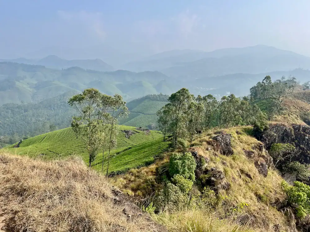 Mountain views during our half-day tea plantation trek in Munnar