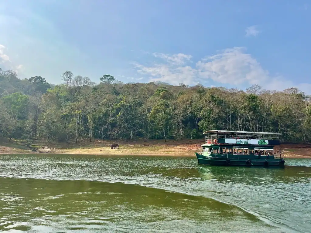 Wild elephant seen during a boat safari in Periyar National Park