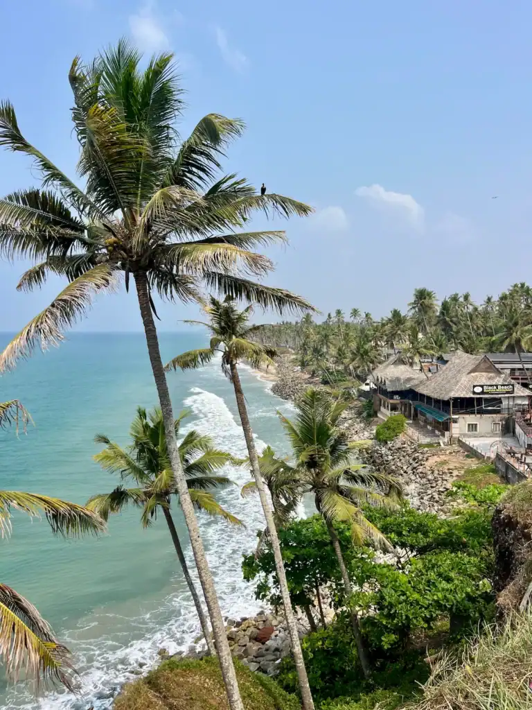 Palm trees overlooking Varkala Beach in Kerala