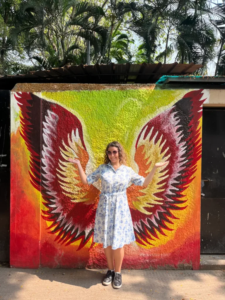 Long dress in India